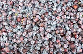 Prunes