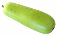 Fresh Bottle Gourd