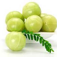 Fresh Amla