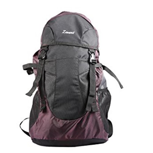 Zwart 414107P 40 L Free Size Backpack