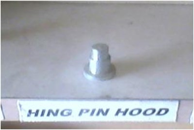 Hinge Pin Hood