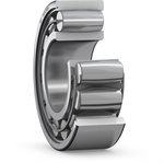 Carb toroidal roller bearings