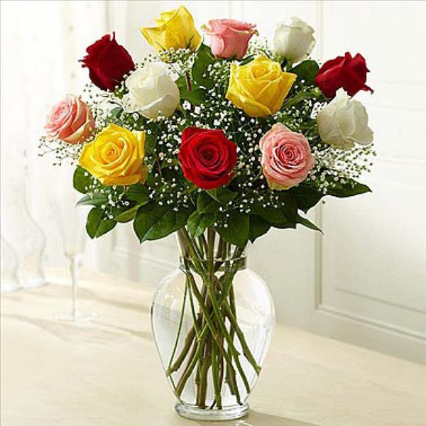 12 Assorted Roses