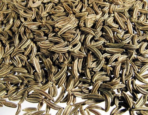 Organic Caraway Seeds, for Cooking, Spices, Grade Standard : Food Grade