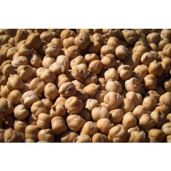 White Chickpeas