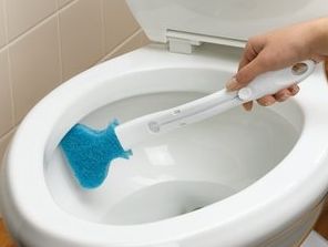 Toilet Scrubber