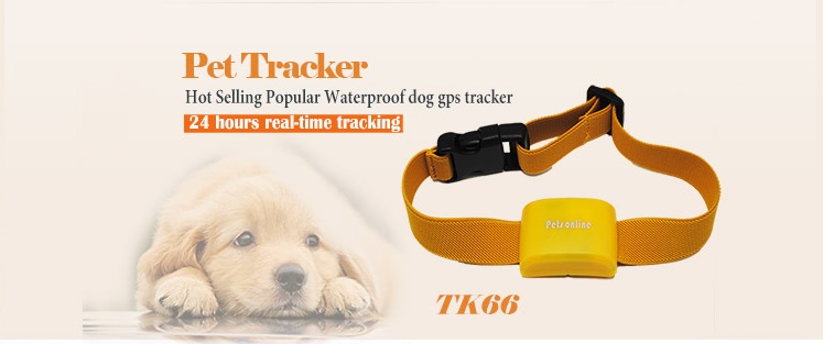 pet gps tracker