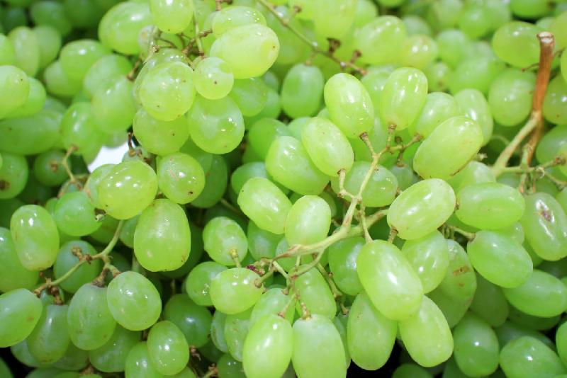 fresh green grapes