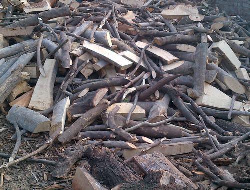 Babool Firewood, Feature : Termite Resistance