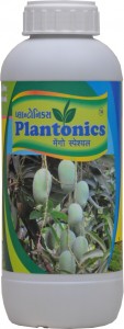 Plantonics Mango Special