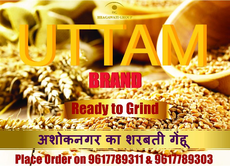 Uttam Brand Premium Quality Sharbati Wheat Seeds