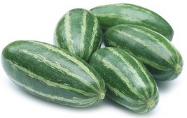 Fresh Pointed Gourd supplies in buk quantities