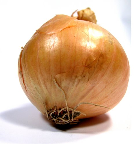 Organic fresh onion, Packaging Type : Packed in jute sack