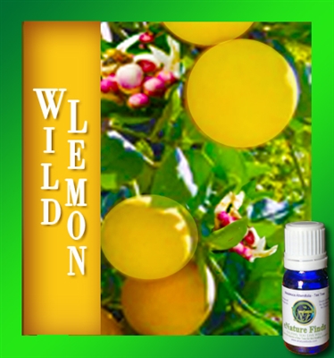 Wild Lemon Essential Oil