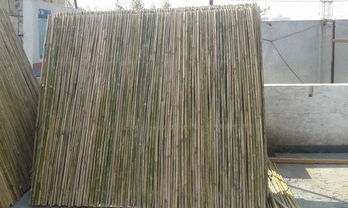 BAMBOO FENCING