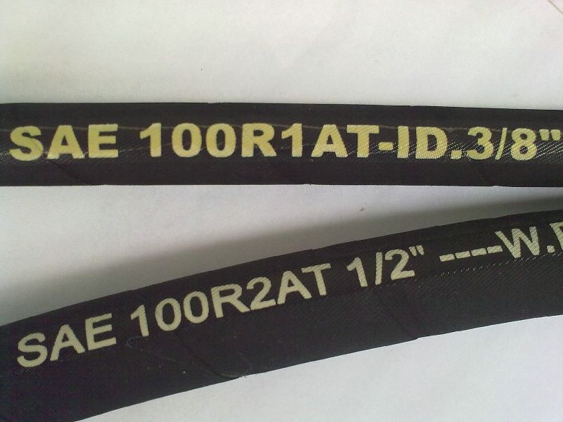 SAE 100 R1 AT 1SN Hydraulic Hose