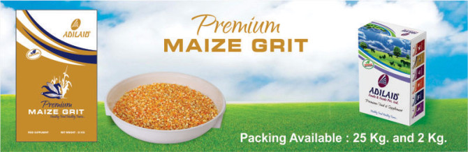 Maize Grit