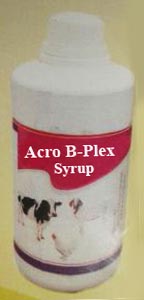 Acro B-Plex Syrup