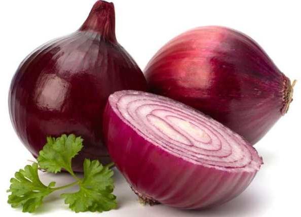 Oval-Round Organic fresh red onion, for Cooking, Human Consumption, Size : Large, Medium, Small