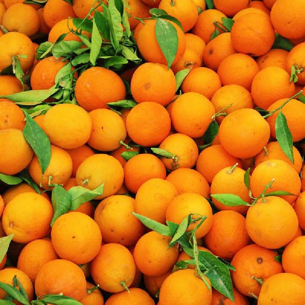 Orange Nagpur