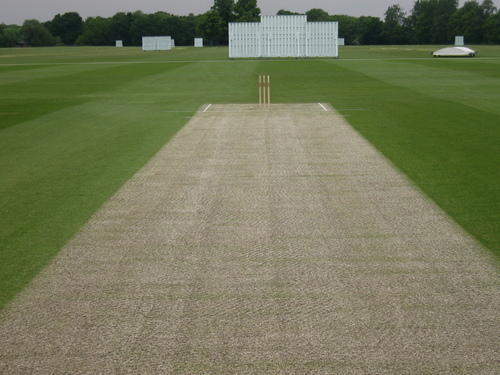Cricket Pitch Mat