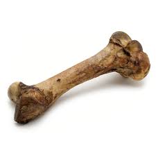 bone