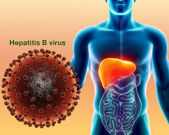 Hepatitis B Treatment
