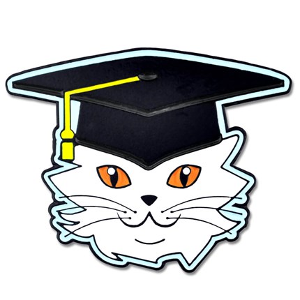 Cat Graduate Pin