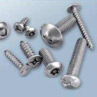 Tamper-proof screws
