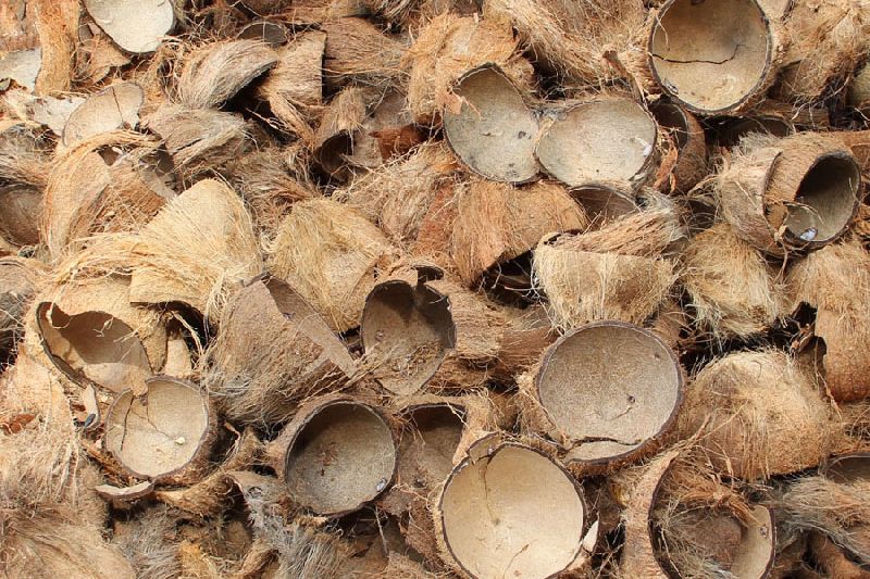 Raw Coconut Shells