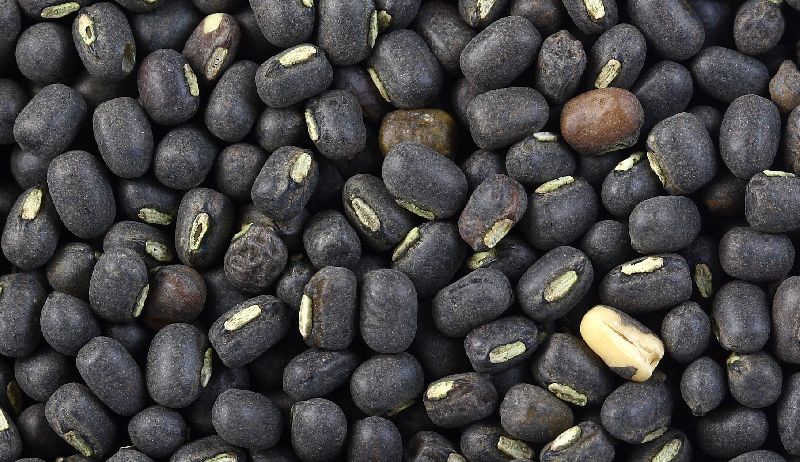 Black Gram Seeds