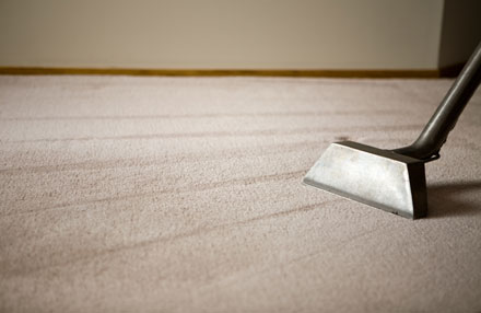 Carpet Dry Cleaning Services