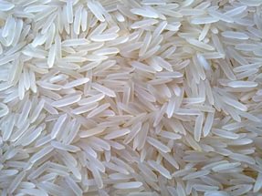 Pure Basmati Rice, Color : WHITE /CREAMY/GOLDEN
