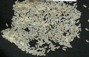 1121 Shella Basmati rice