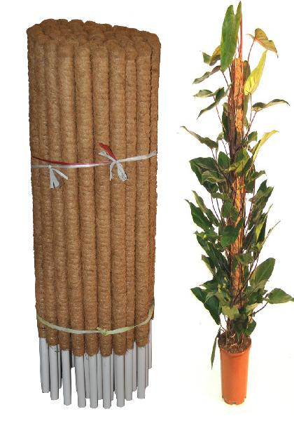 Coir Coco Poles, for Garden, Length : 15-20inch, 20-25inch, 25-30inch
