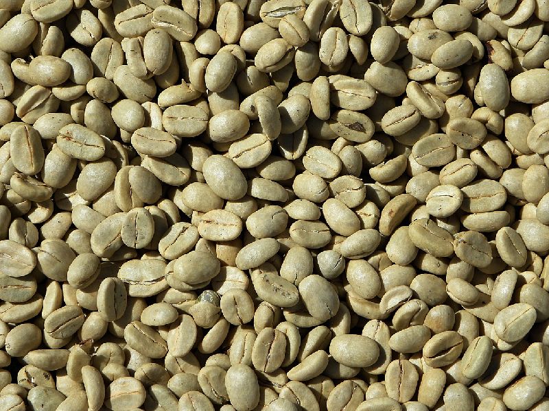 Green coffee beans