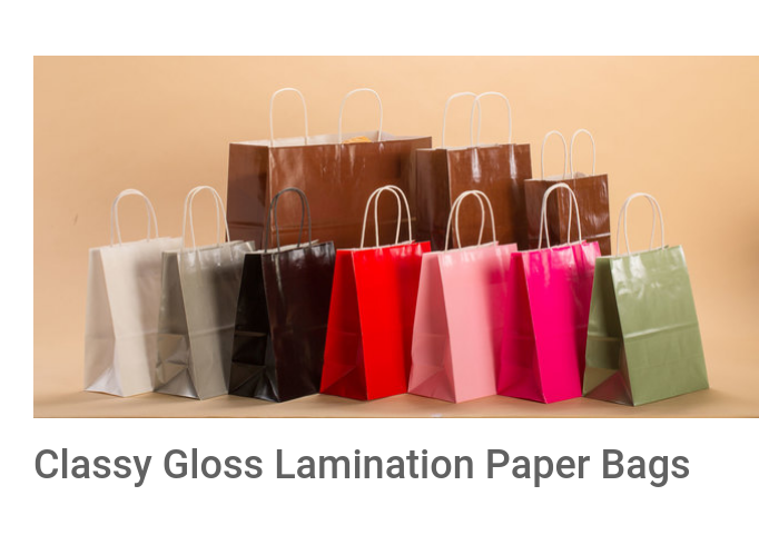 Packingoutlet 12 Pcs Paper bag Lamination Shopping Gift DIY Strong Bag  storage (12 * 6 * 16 cm, Multicolour) : Amazon.ae: Kitchen