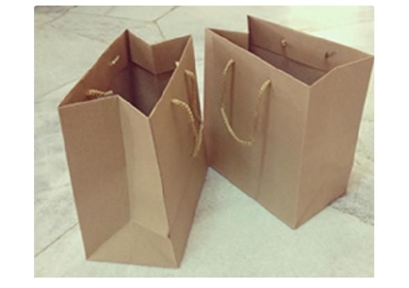Paper Bag with Rope Handles
