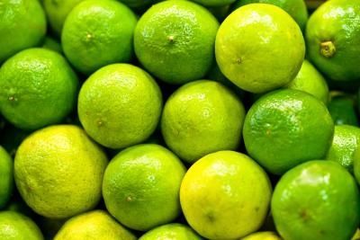 Fresh Seedless Lime by FINAL POINT TRADING COMPANY, fresh seedless lime ...