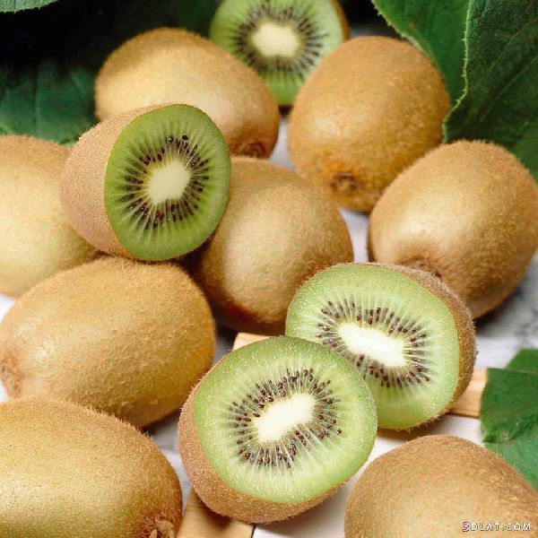 Fresh Kiwi Fruit