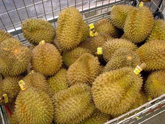 Fresh Durian