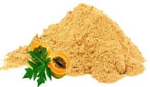 dried papaya powder