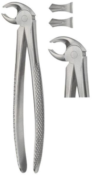 Lower Molars Tooth Forceps