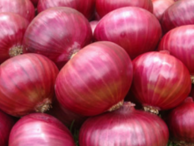 Fresh onion