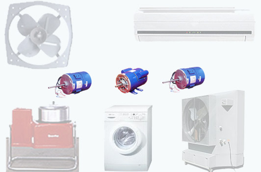 Appliance Motors