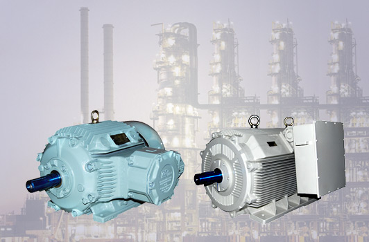 low voltage motors