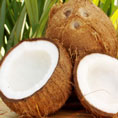 raw coconuts