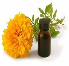 Marigold Oil, Packaging Size : 500ml, 750ml
