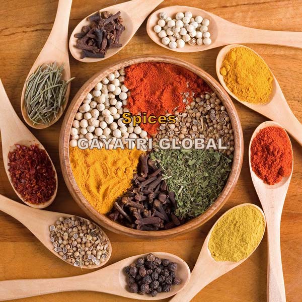 GAYATRI spices