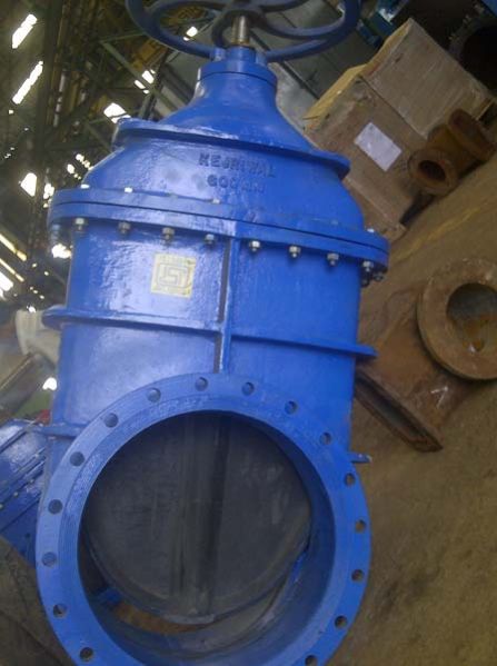 DI DF Resilient Seated Valve